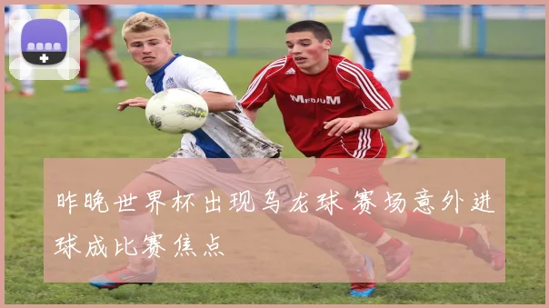 昨晚世界杯出现乌龙球 赛场意外进球成比赛焦点