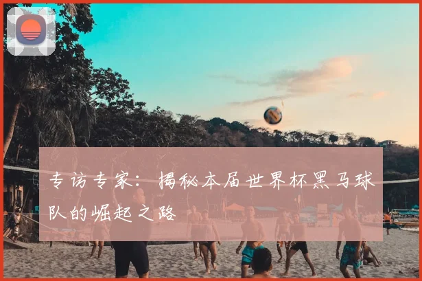 专访专家：揭秘本届世界杯黑马球队的崛起之路
