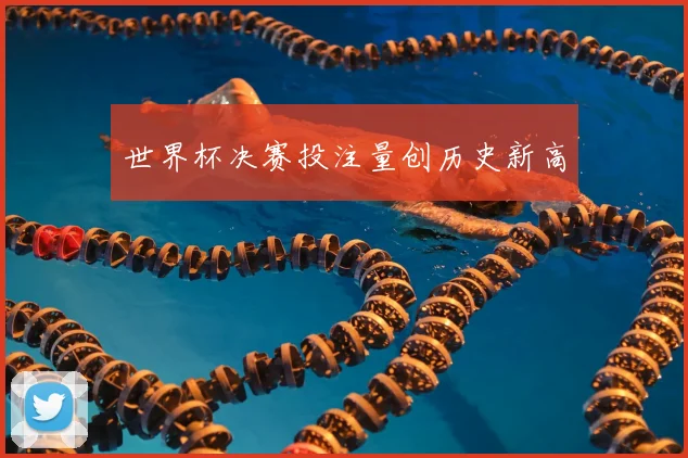 世界杯决赛投注量创历史新高