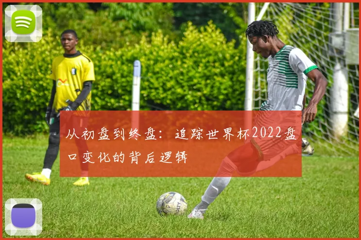 从初盘到终盘：追踪世界杯2022盘口变化的背后逻辑