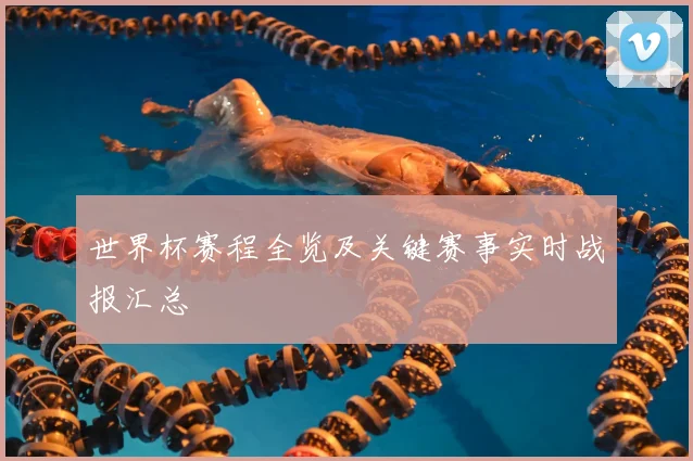 世界杯赛程全览及关键赛事实时战报汇总