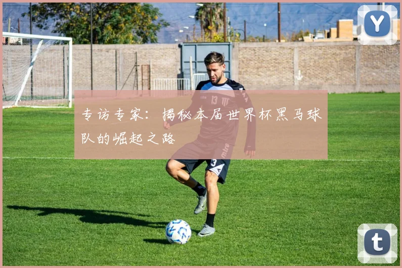 专访专家:揭秘本届世界杯黑马球队的崛起之路